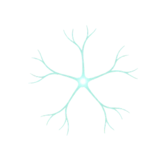 Logotipo Mycoregenverse